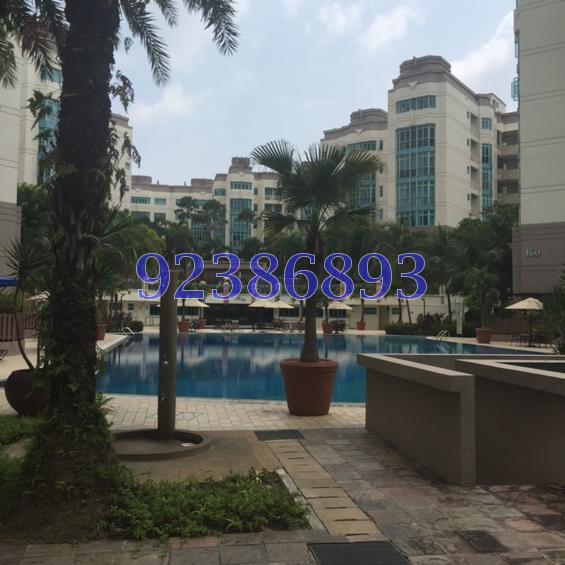 Ballota Park Condominium (D17), Condominium #84260252